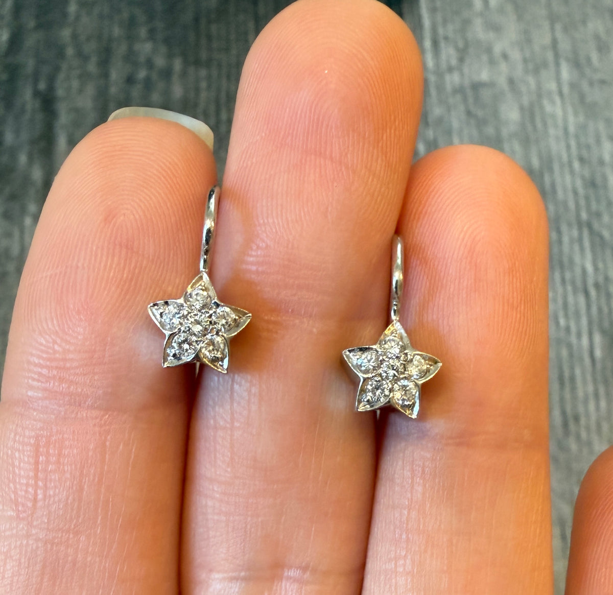 Diamond Star and 14K White Gold Leverback Earrings