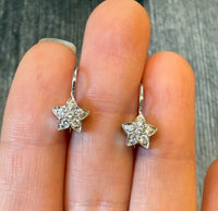 Diamond Star and 14K White Gold Leverback Earrings