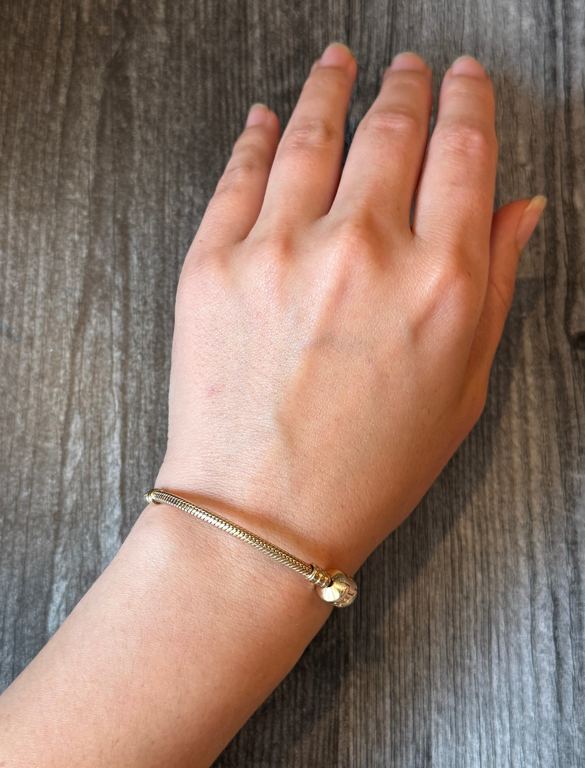 Pandora 14K Gold Tubular Snake Bracelet, 6.3” Long￼ (A)
