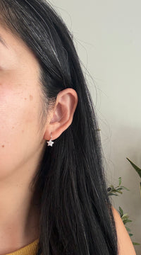 Diamond Star and 14K White Gold Leverback Earrings