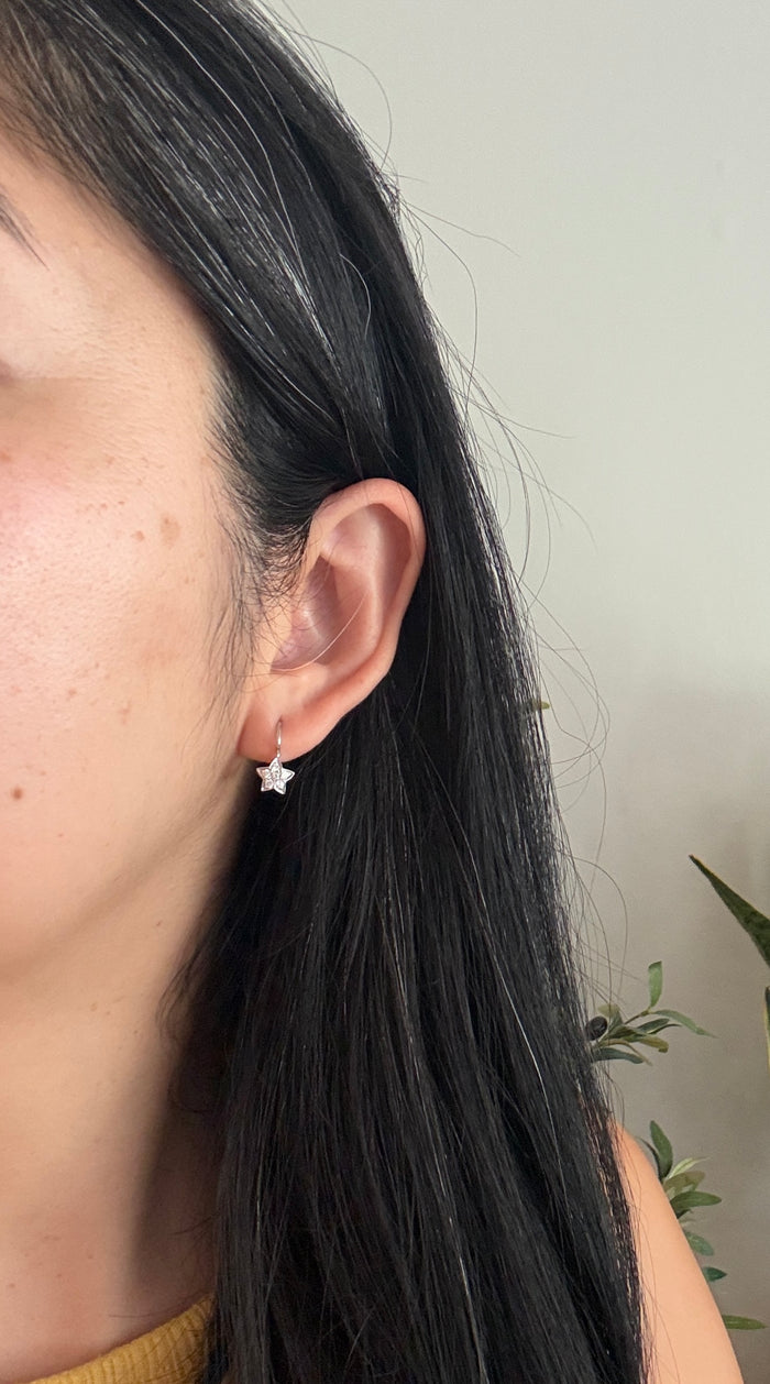 Diamond Star and 14K White Gold Leverback Earrings