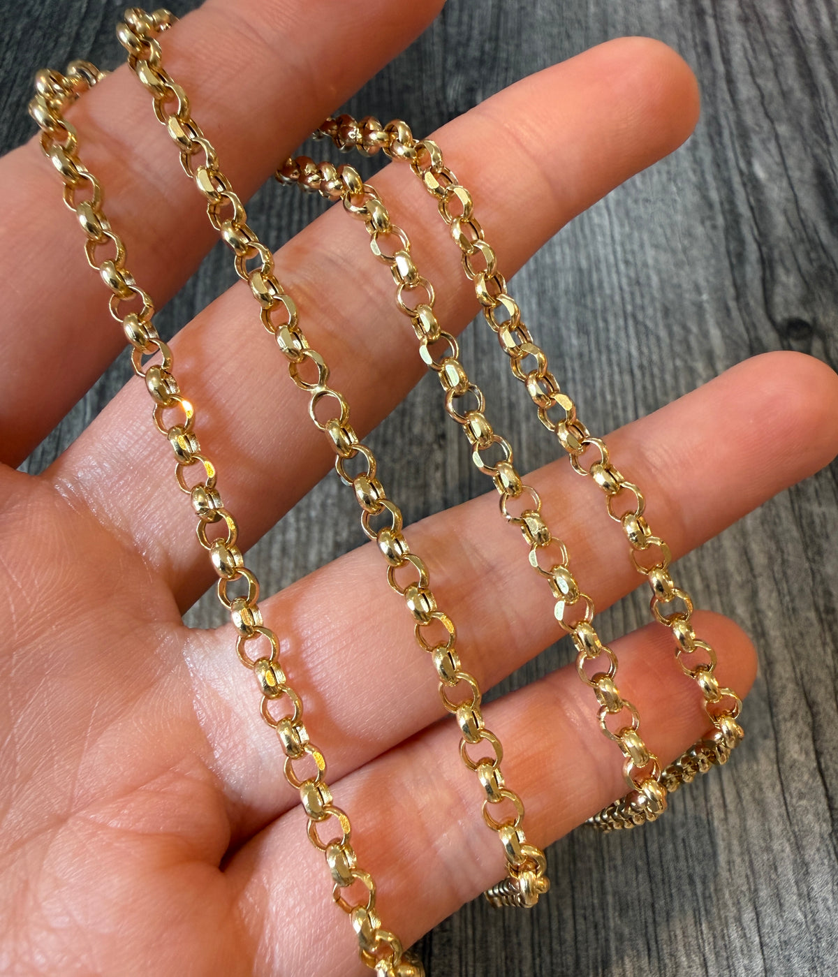 Everyday 10K Gold Faceted Rolo Chain, 22” Long