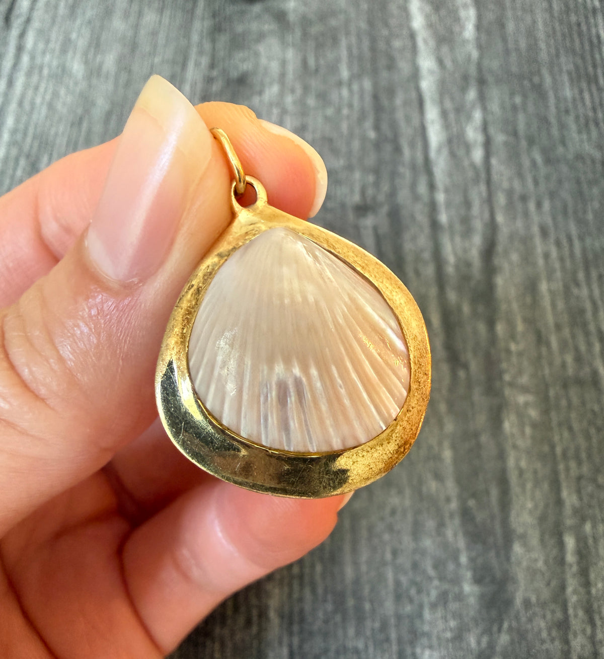 Sea Shell 14K Yellow Gold Charm