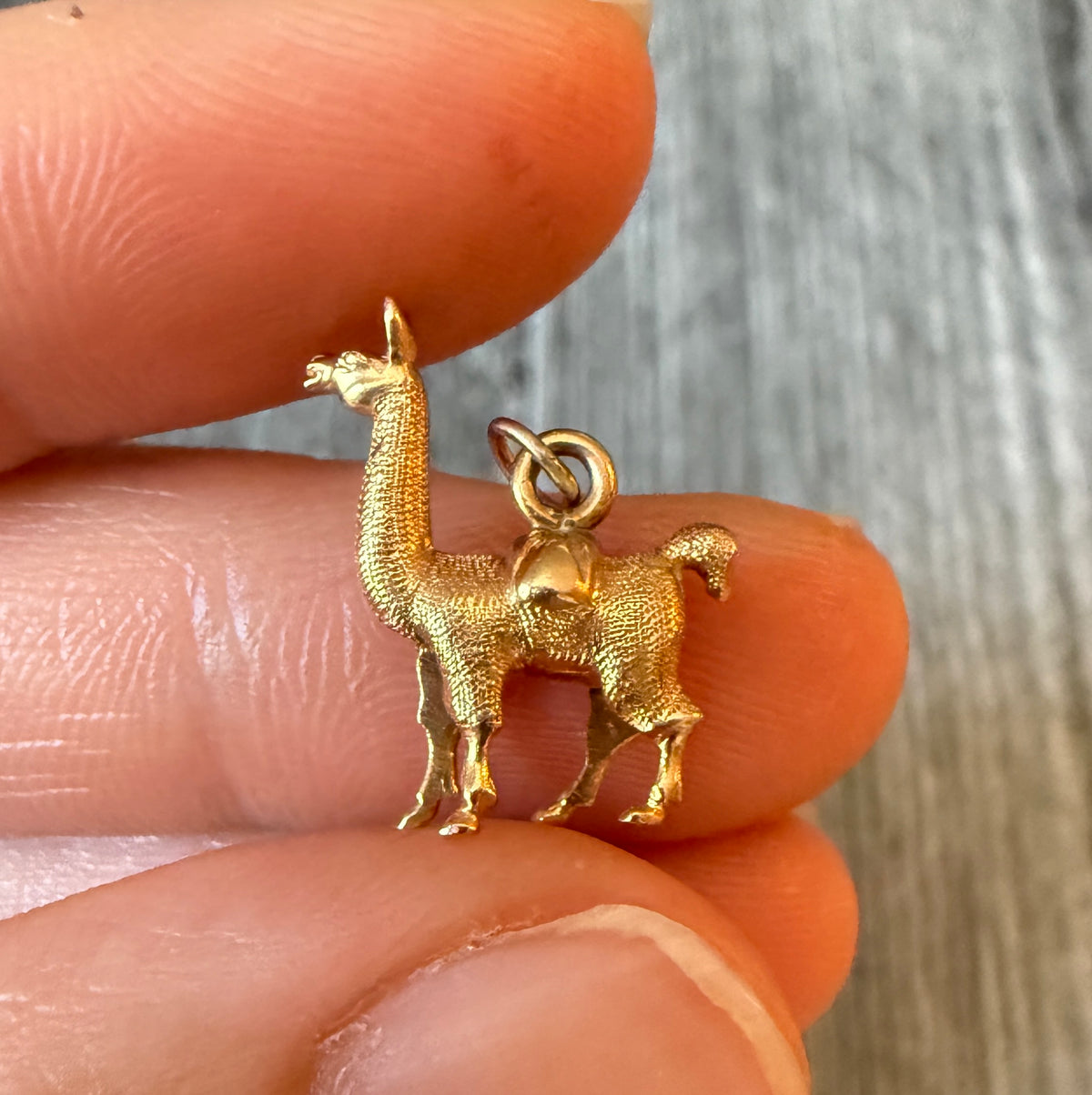 Liama Charm in 18K Gold