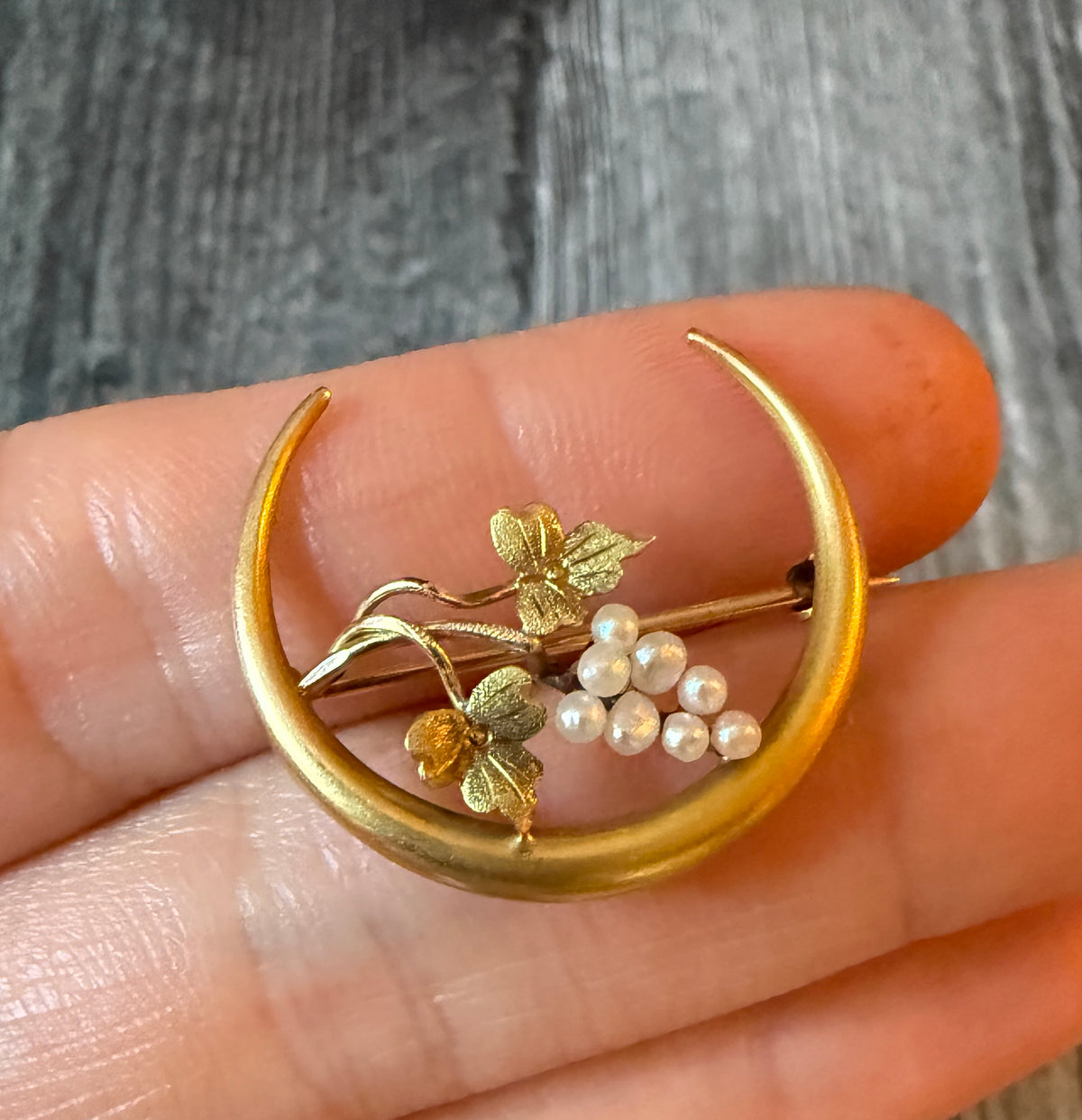 Art Nouveau Crescent and Grape Pin in 10K Gold