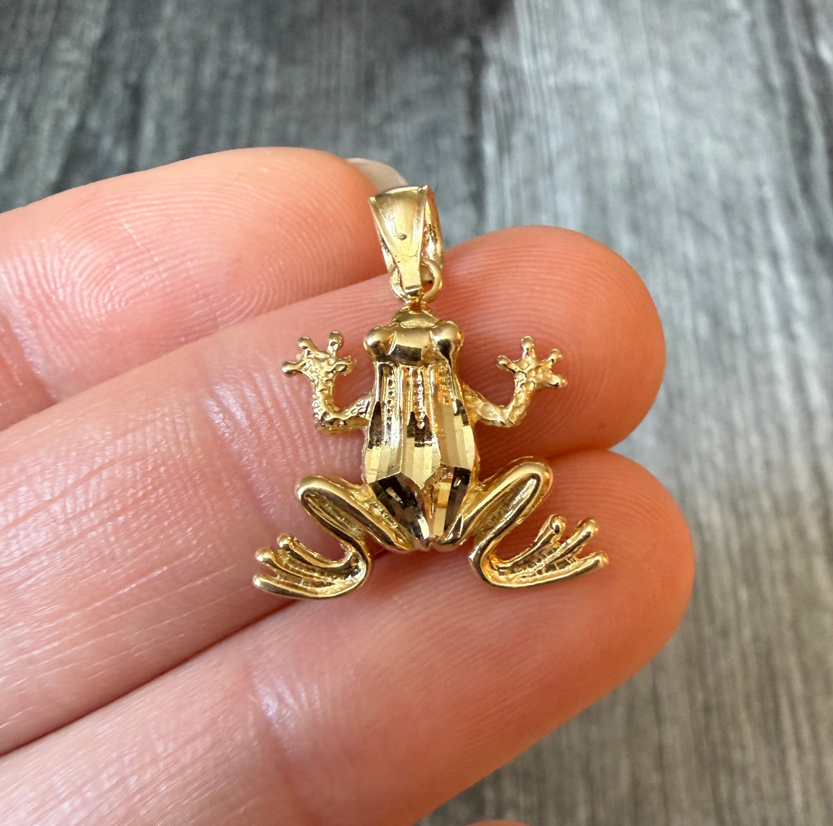 Frog Charm in 14K Gold