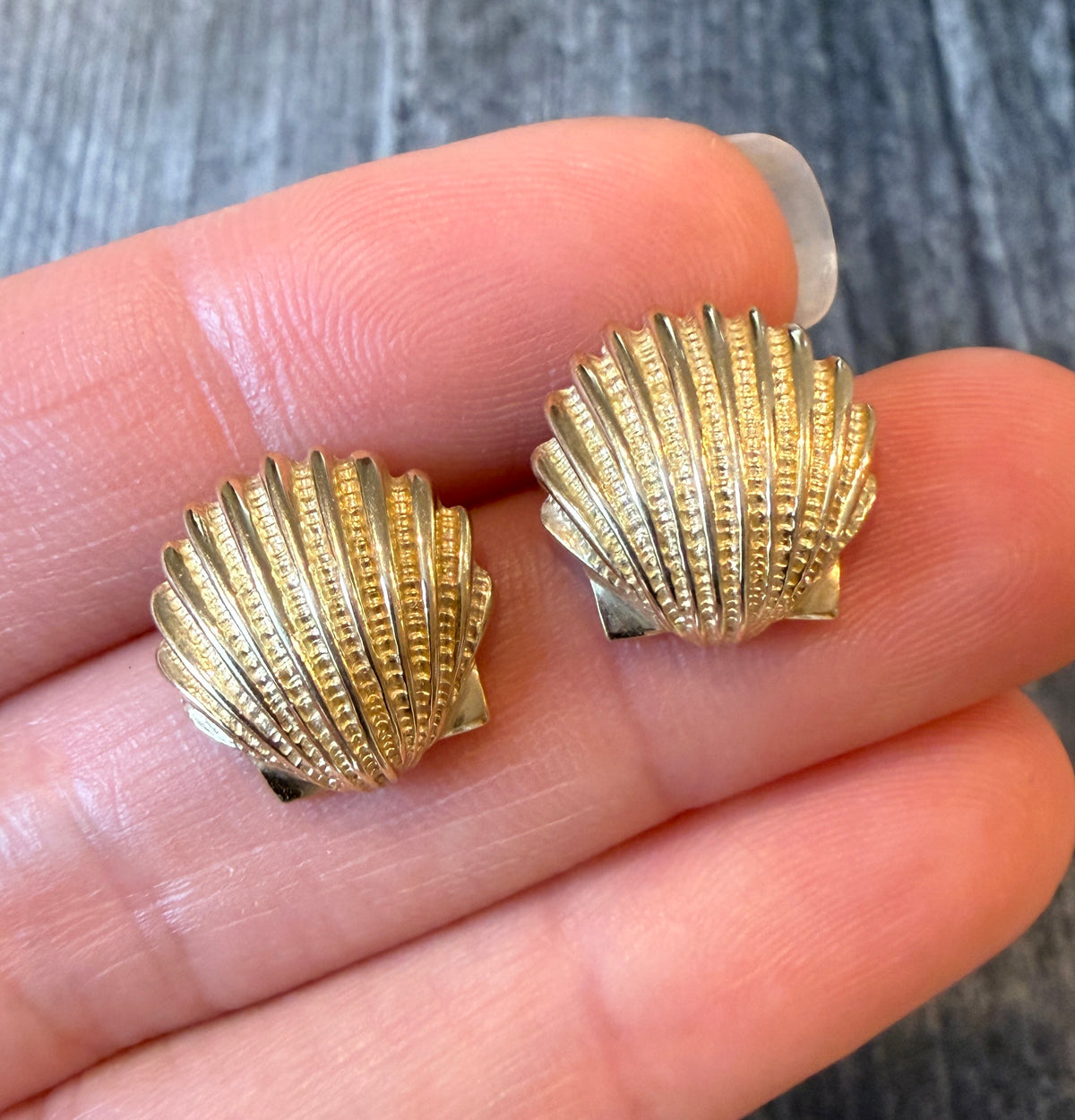 Seashell Stud Earrings in 14K Gold