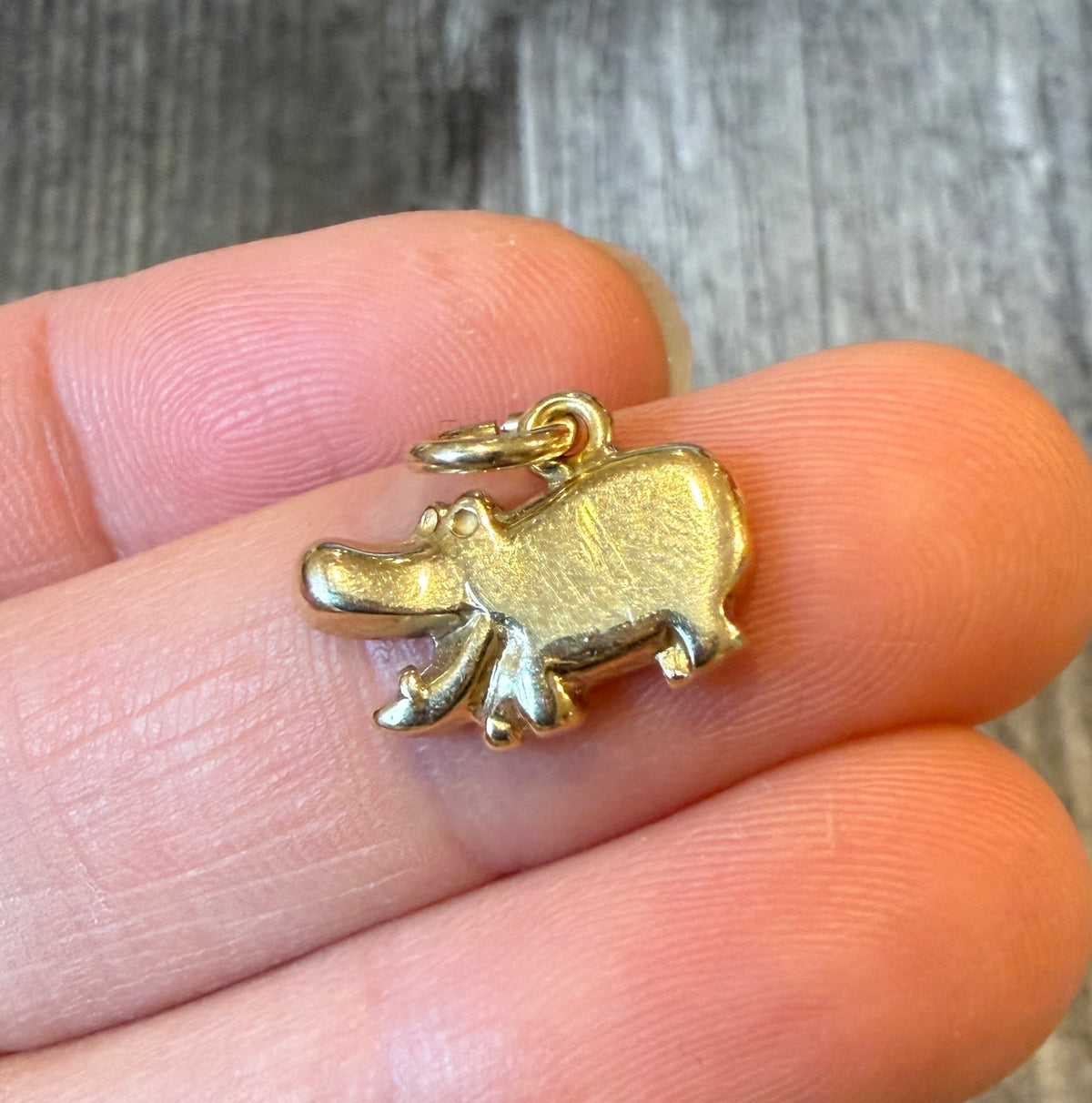 Small 14K Gold Hippo Charm