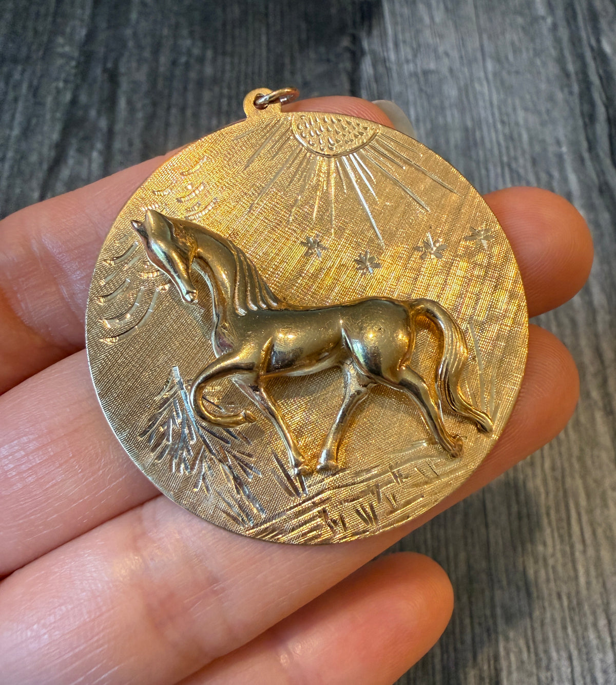Extra Large Horse Under the Sun Medallion Charm in 14K Gold (A)