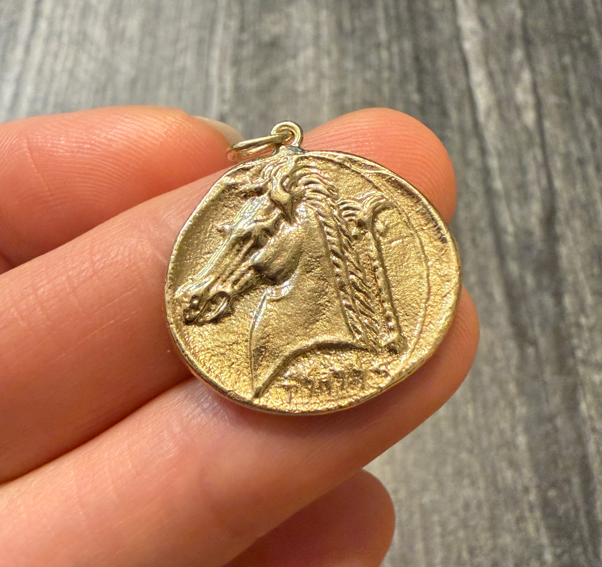 Horse Head Antique Coin Charm in 14K Gold