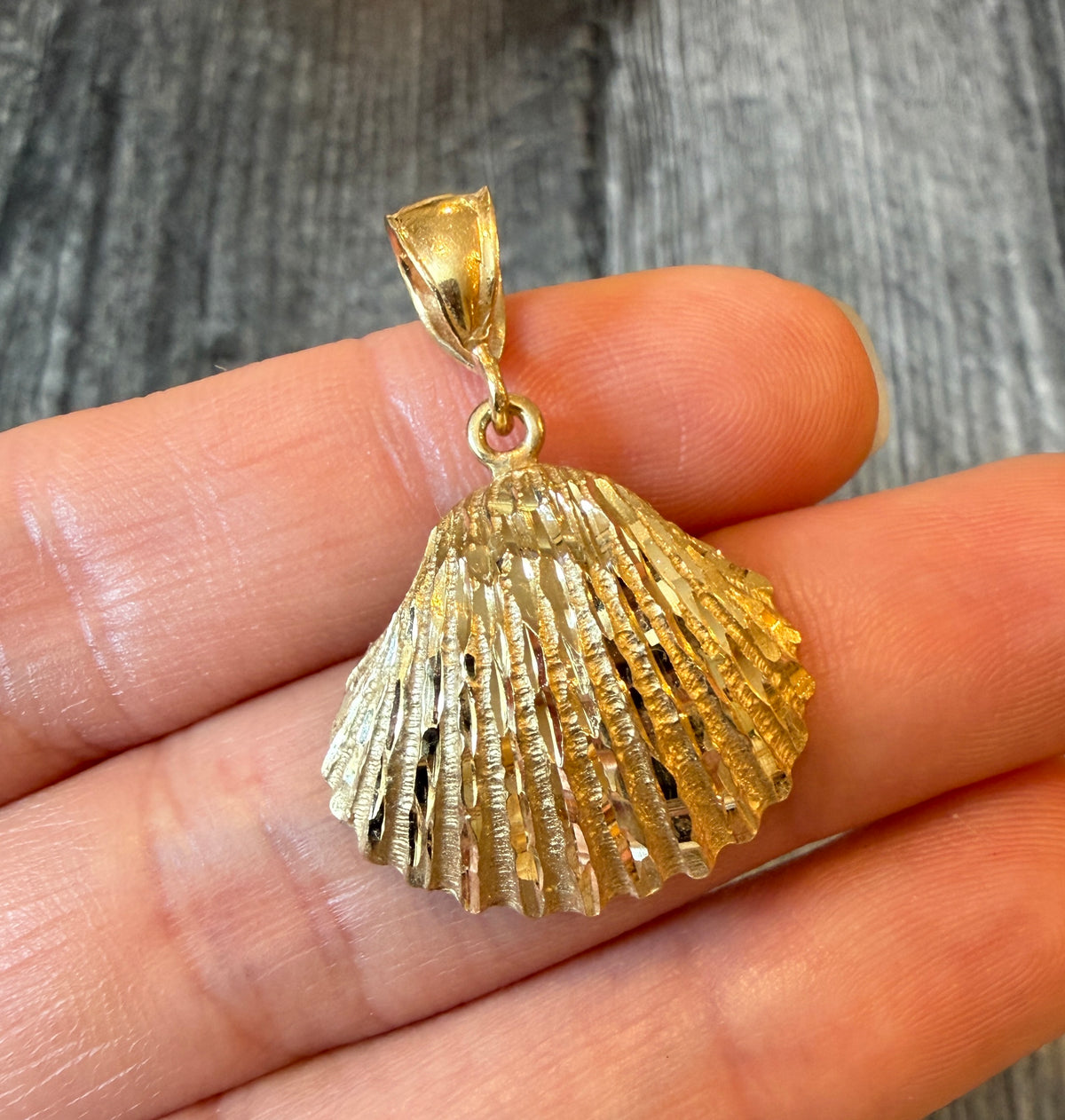 Large 14K Gold Seashell Charm in 14K Gold