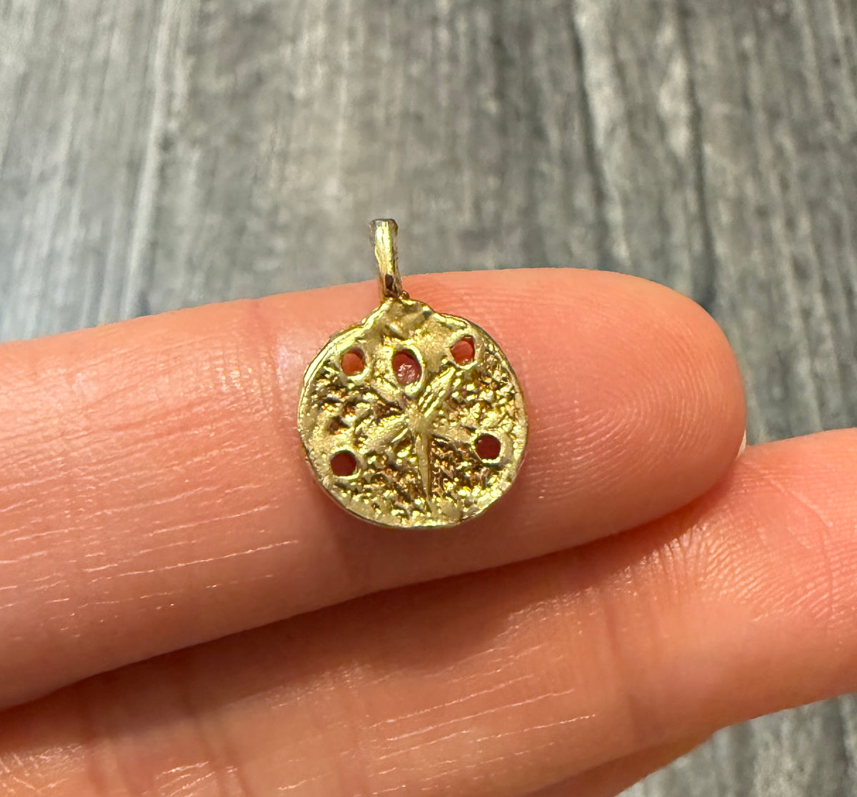 Sand Dollar Charm in 14K Gold