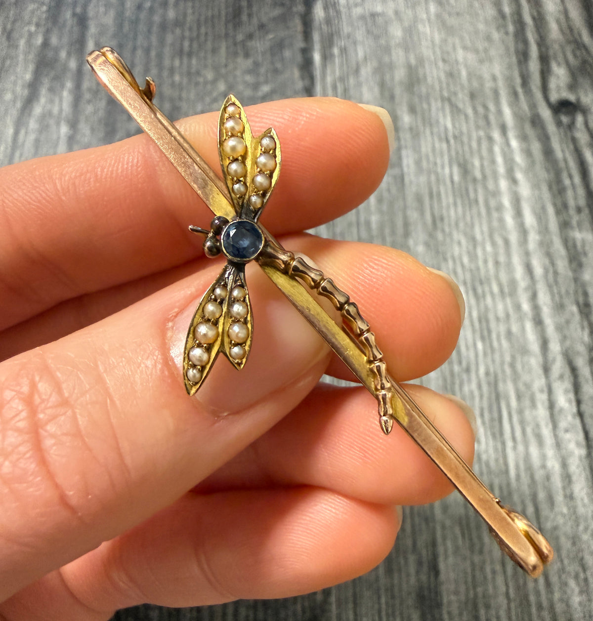 Antique Dragonfly and 9K Gold Safety Pin