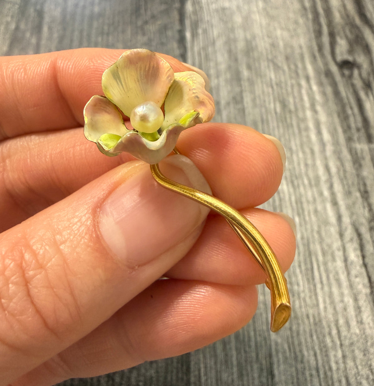 Art Nouveau Whiteside and Blank Iridescent Enamel Flower Pin