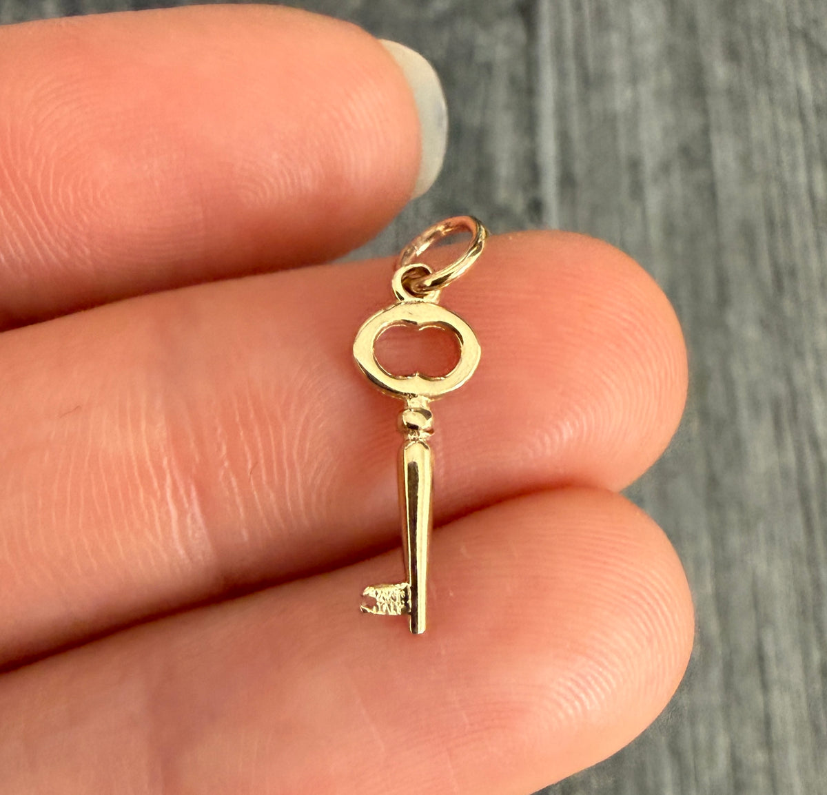 Mini 14K Gold Skeleton Key Charm (F)