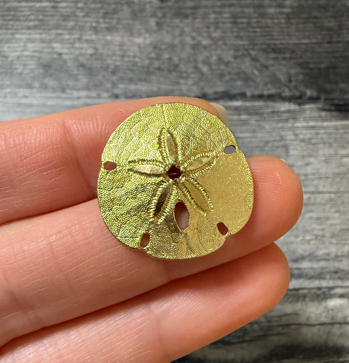 14K Gold Sand Dollar Pendant and Brooch