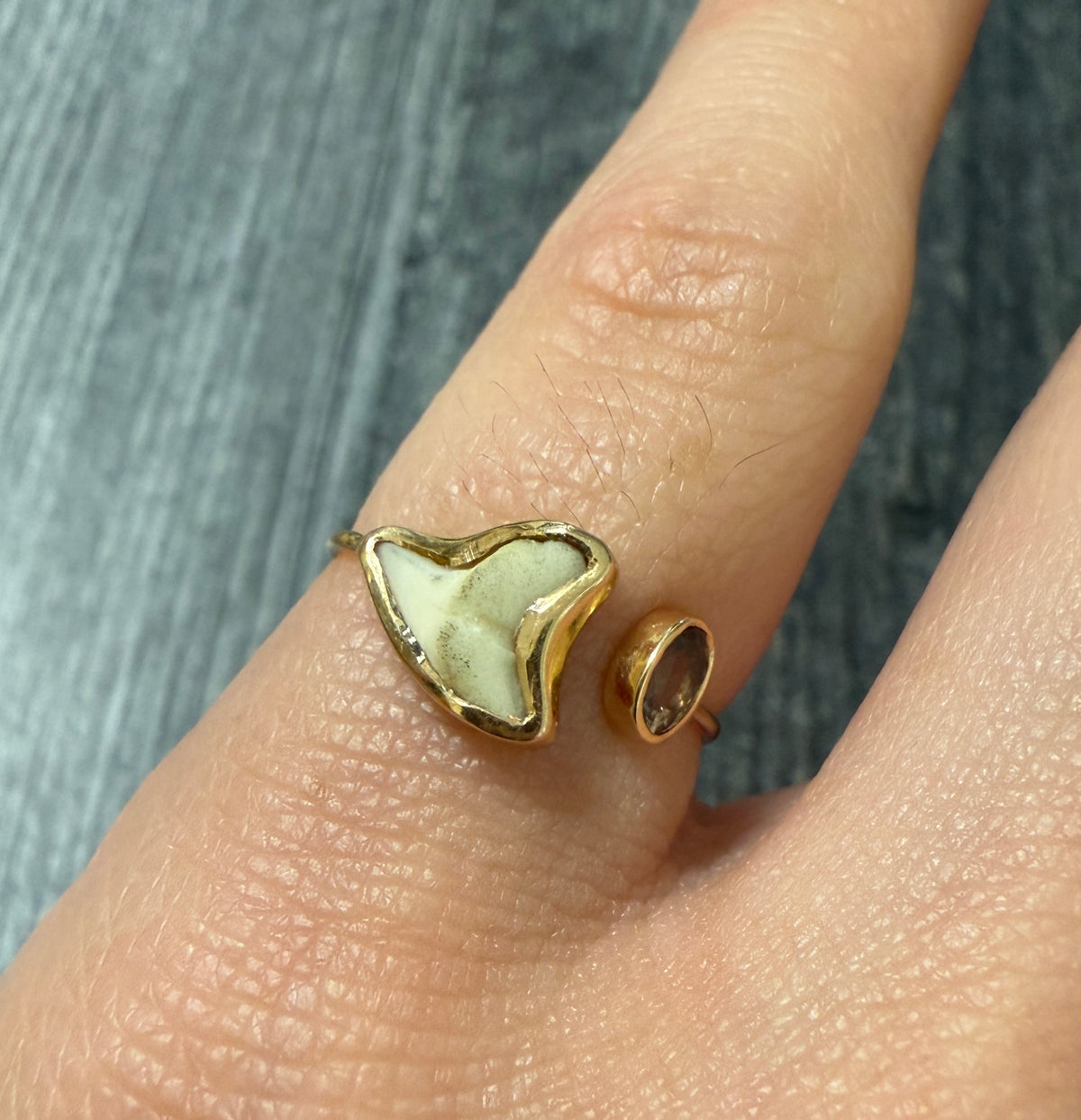 Shark Tooth and Smoky Topaz 18K Gold Ring