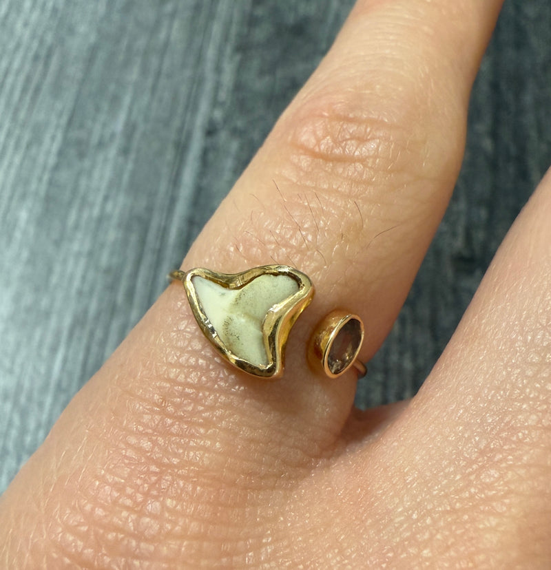 Shark Tooth and Smoky Topaz 18K Gold Ring