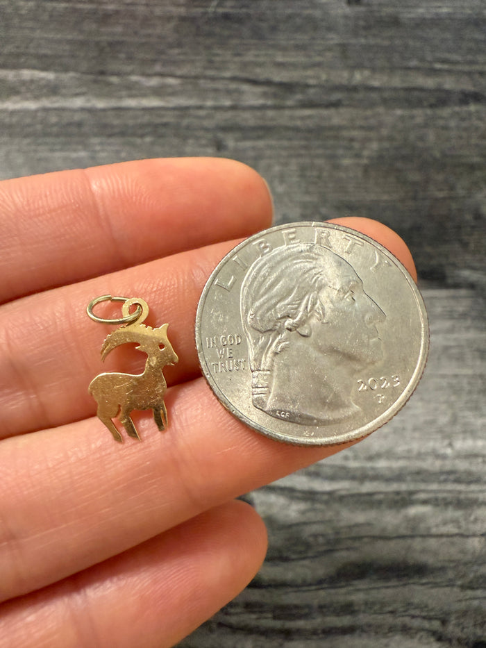 Zodiac Capricorn 14K Gold Charm
