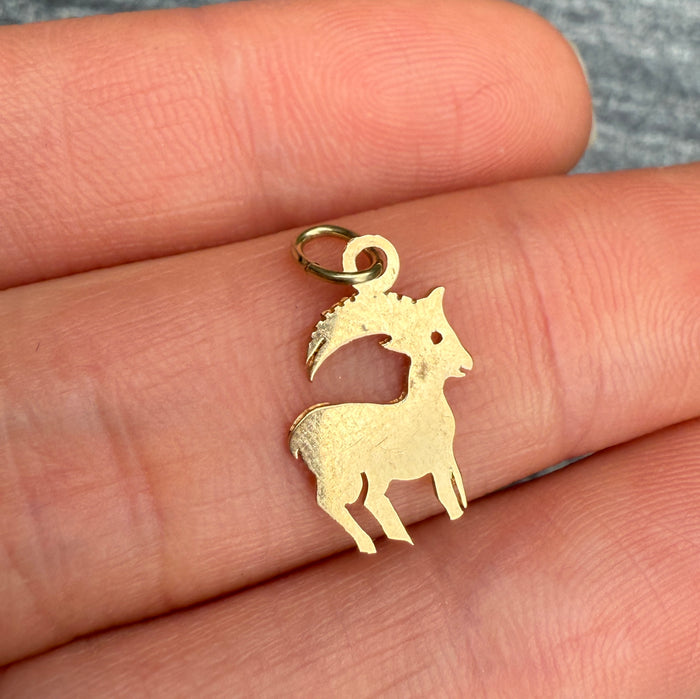 Zodiac Capricorn 14K Gold Charm