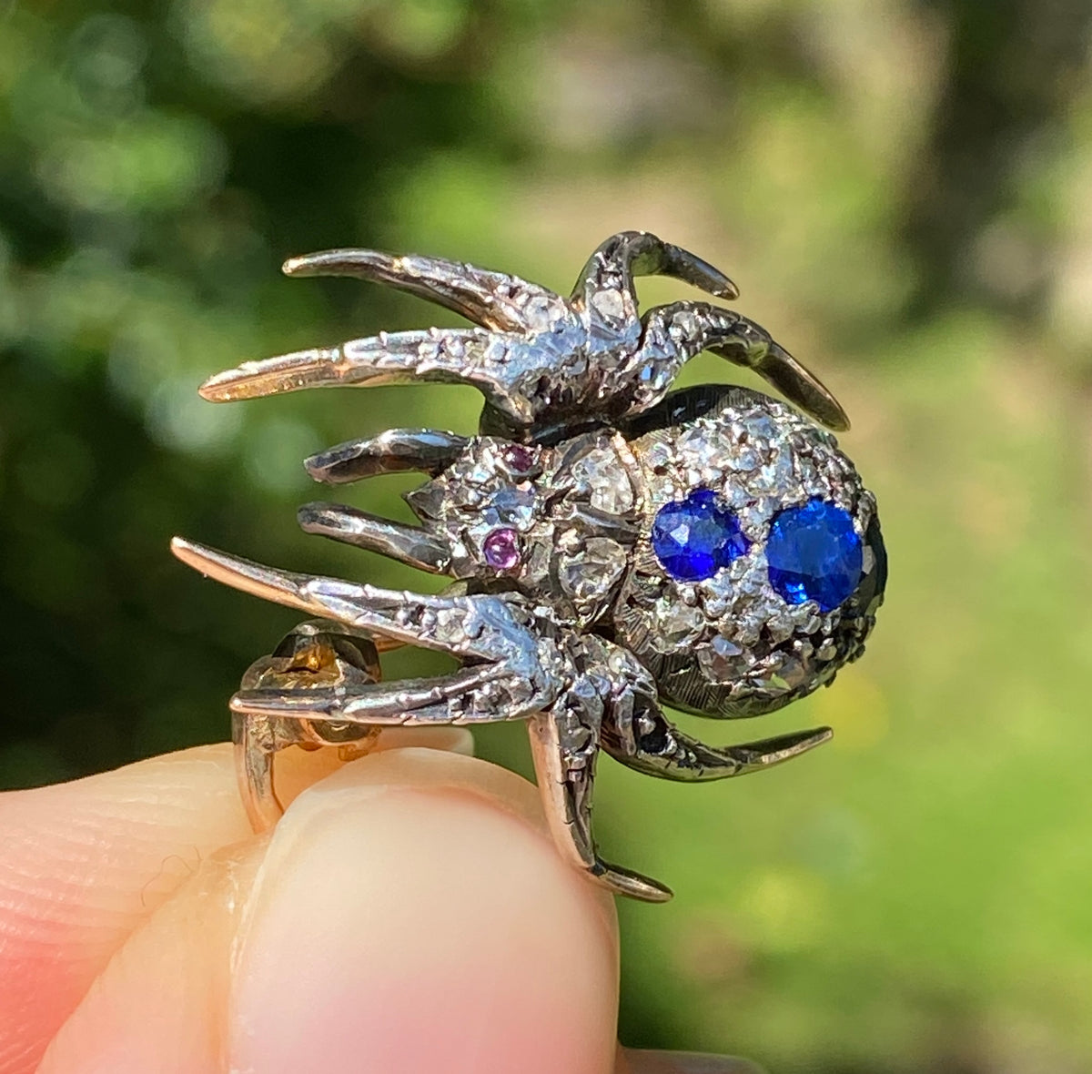 Victorian Sapphire & Diamond Spider brooch