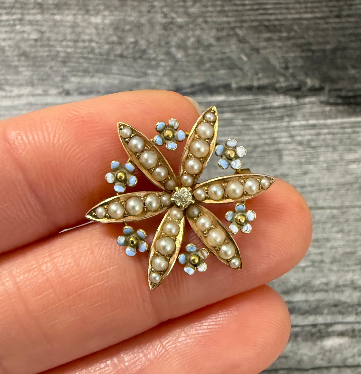 Victorian Enamel Forget Me Not and 14K Gold Flower Pin