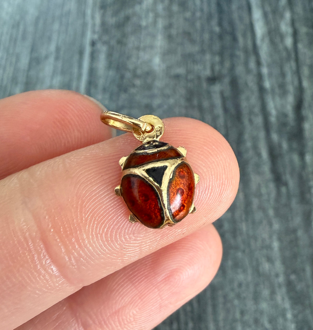 Enamel Ladybug Charm in 18K Gold