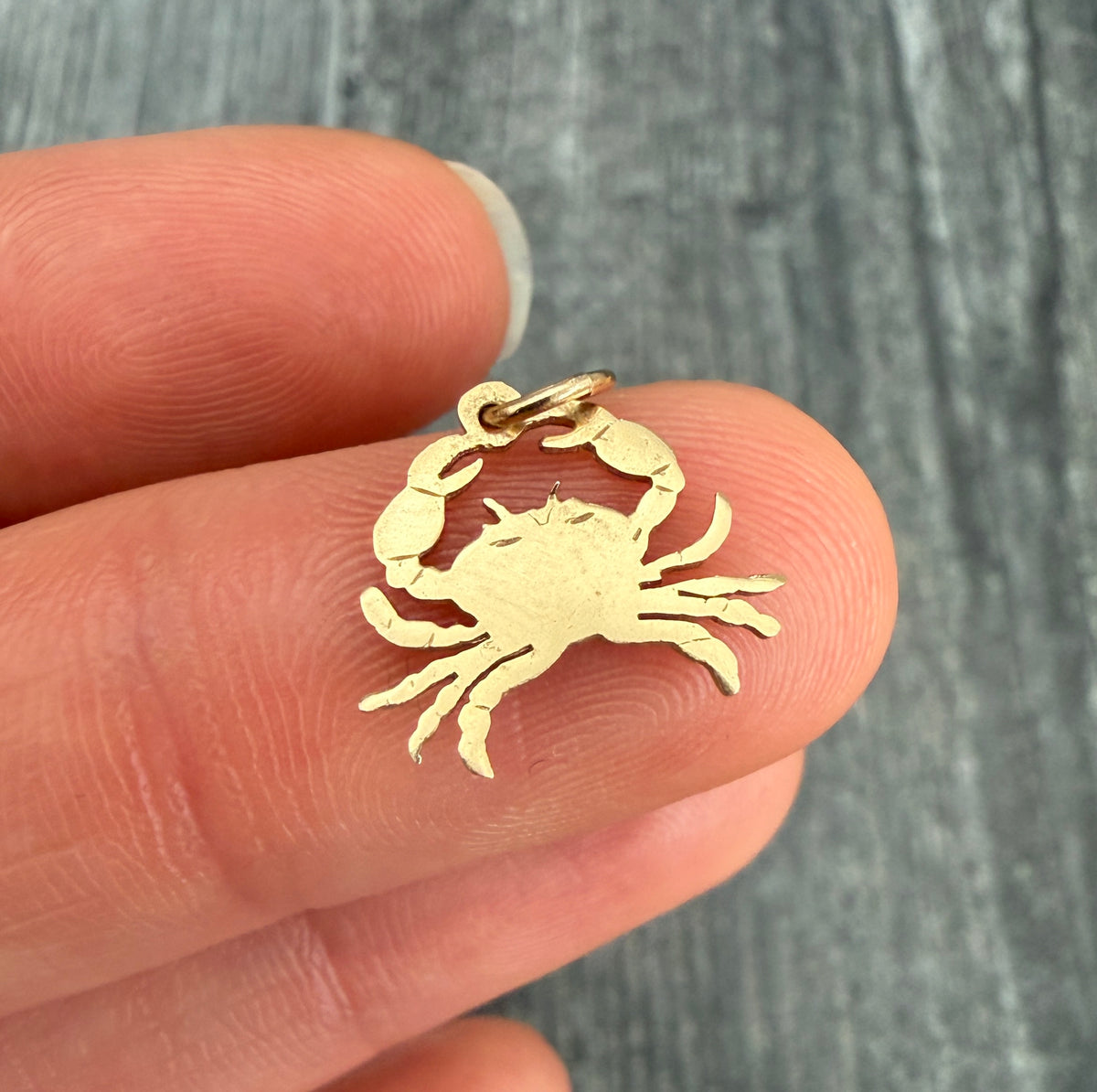 Zodiac Cancer or Crab Charm in 14K Gold