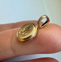 Zodiac 14K Gold Capricorn Charm