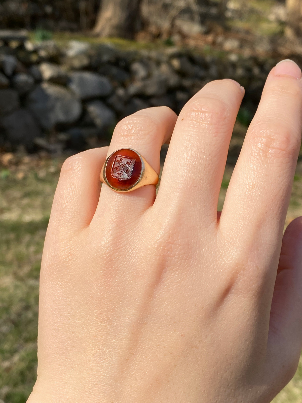 Antique Carved Carnelian Intaglio Ducks and 14K Gold Signet Ring